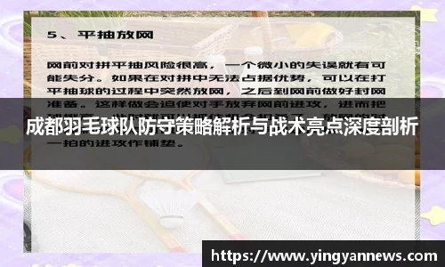 成都羽毛球队防守策略解析与战术亮点深度剖析